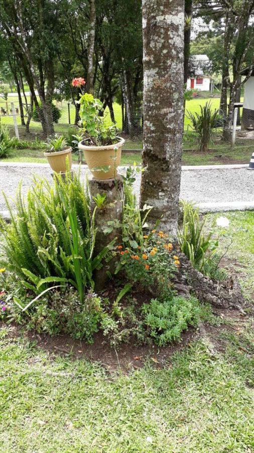 Recanto Do Saiqui Canela Exterior foto