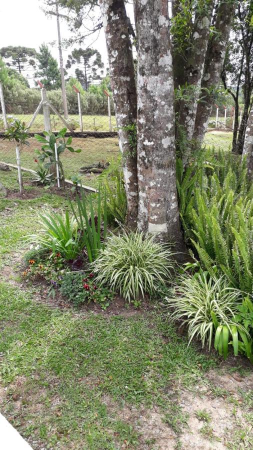 Recanto Do Saiqui Canela Exterior foto
